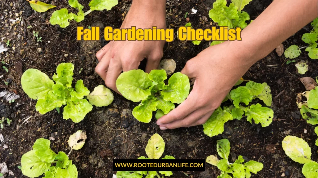 Planting cold hardy crops as part of the fall garden checklist