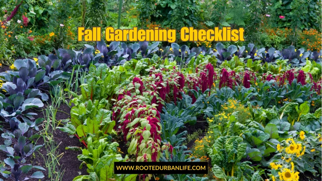Rows of leafy greens for fall garden checklist