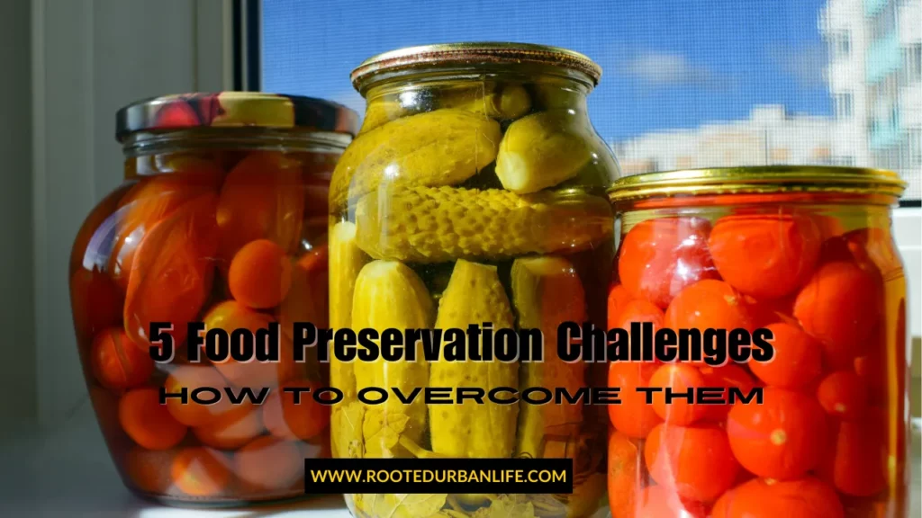 Jars with pickles and tomatoes preserves