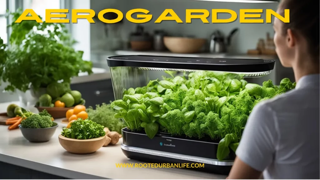Hydroponic Indoor garden on the kitchen counter