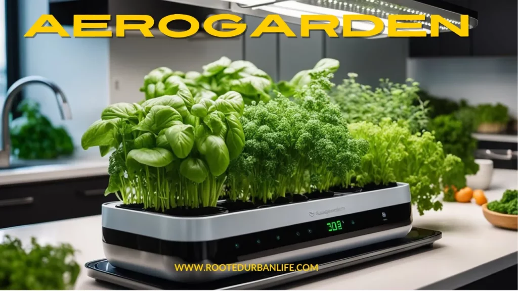 Indoot garden with herbs and leafy greens on the kitchen counter
