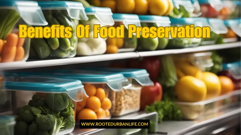 Containers with various chopped foods ready to be preserved