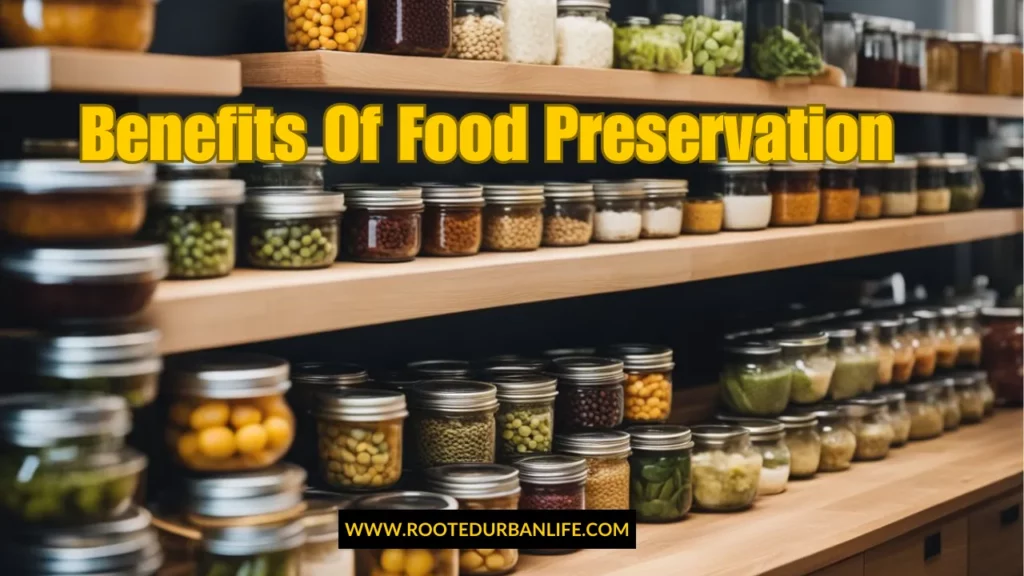 Jars of preserves in a pantry