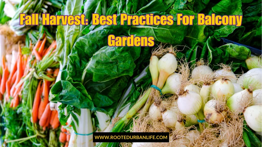 Bunches of carrots, onions and swisschard
