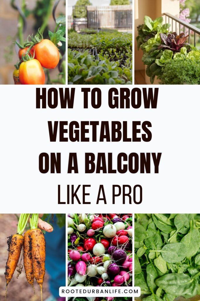 Collage of various vegetables that can be gown on a balcony in containers.